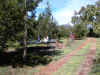 JARDINES2.jpg (13794 bytes)